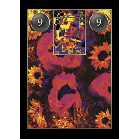 Lenormand Cartomancy Fortune Telling Card Deck & Guidebook by Schiffer
