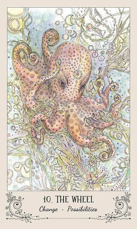 Spiritsong Tarot Card Deck by Paulina Cassidy 78 Cards US Games