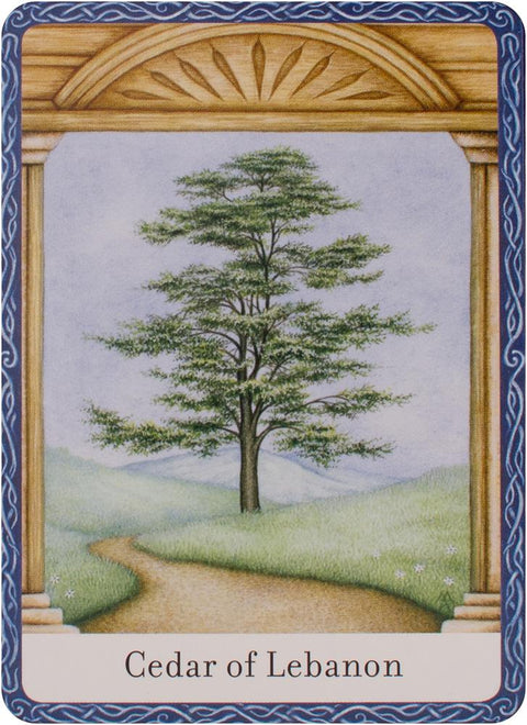 The Wisdom Of Trees Oracle Cards Deck Watkins Publishing By Jane Struthers NEW