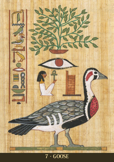 Egyptian Sacred Animals Oracle Cards Deck Lo Scarabeo w/ Guidebook