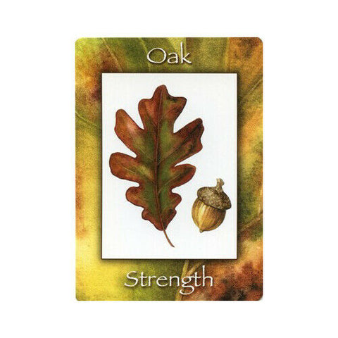 Nature'S Wisdom Oracle Deck Mindy Lighthipe Schiffer Publishing Sp022