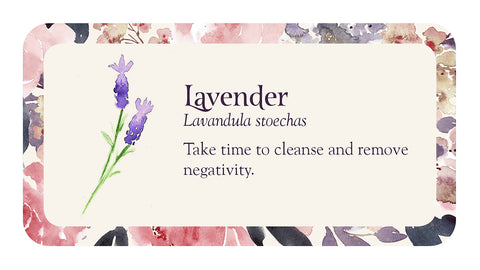 Flower Petals 40-Card Inspirational Mini Oracle Deck by US Games