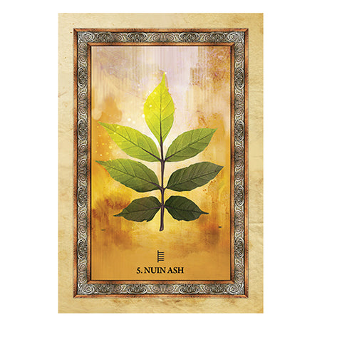 Celtic Tree Oracle Cards by Blue Angel 25-Card Deck & Guidebook Set
