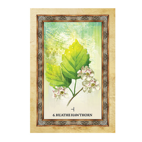Celtic Tree Oracle Cards by Blue Angel 25-Card Deck & Guidebook Set