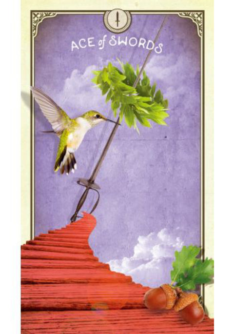 The Tarot Of Curious Creatures Card Deck & Guidebook Chris-Anne