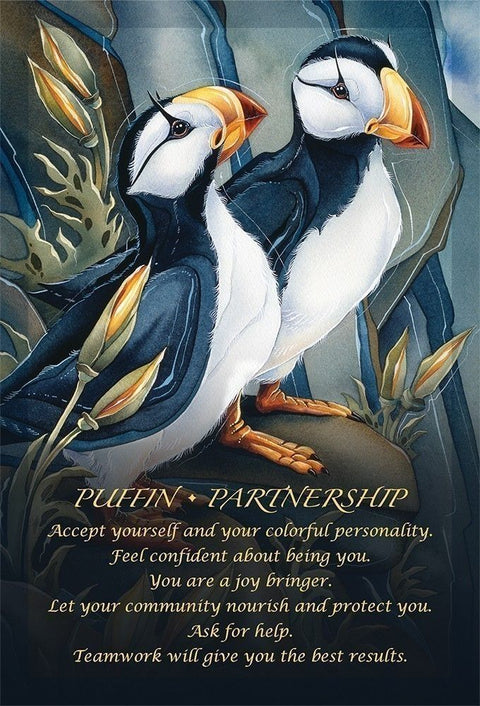 Spirit of the Animals Oracle Card Deck by Jody Bergsma US Games