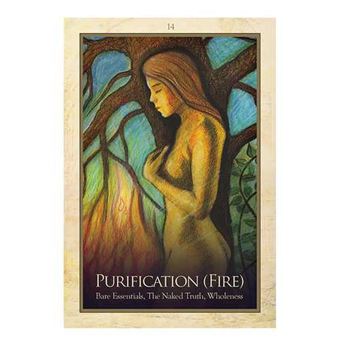 Gaia Oracle Deck by Toni Carmine Salerno 45 Cards & Guidebook Blue Angel