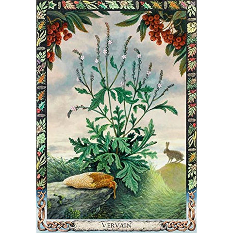 The Druid Plant Oracle Cards & Guidebook Welbeck Publishing