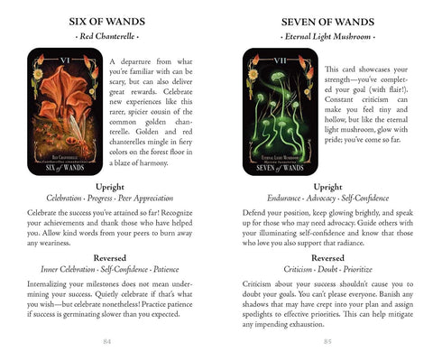 Midnight Magic Mushroom Tarot Card Deck by Sara Richard Adams Media