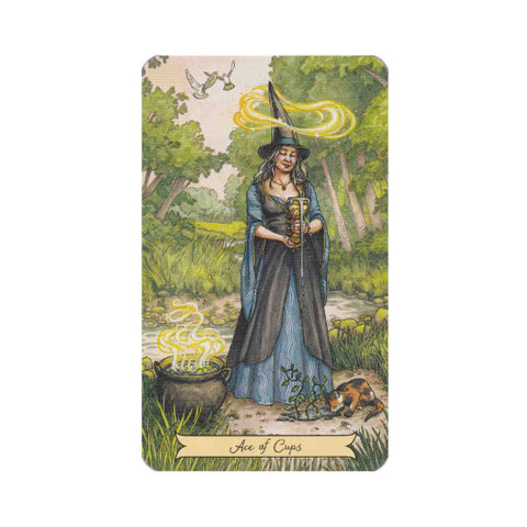 Everyday Witch Tarot Mini Cards Deck Llewellyn Deborah Blake Elisabeth Alba