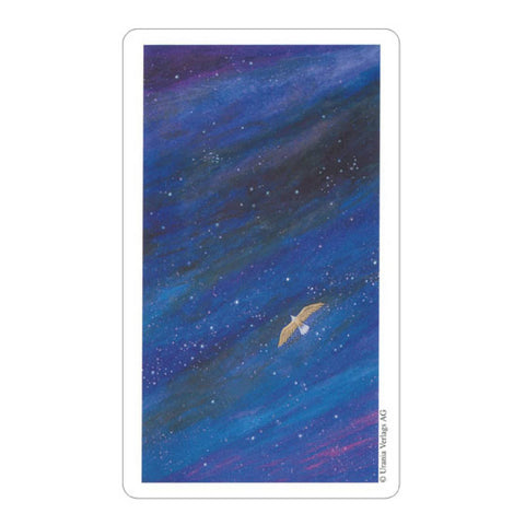 Vision Quest Tarot Cards Deck By Gayan Sylvie Winter Esoteric Agm