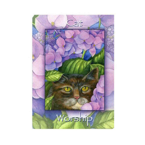 Nature'S Wisdom Oracle Deck Mindy Lighthipe Schiffer Publishing