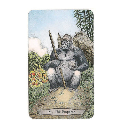 Animal Totem Tarot Cards Deck Llewellyn Leeza Robertson Esoteric With Bag