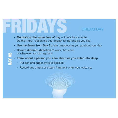 Build Your Psychic Skills: The 90-Day Plan Cards Deck Schiffer Publishing