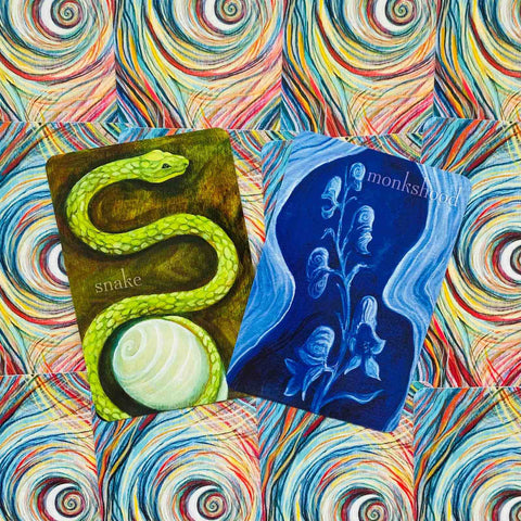 Liminal Spirits Oracle Cards Deck Book Kit Laura Tempest Zakroff Llewellyn