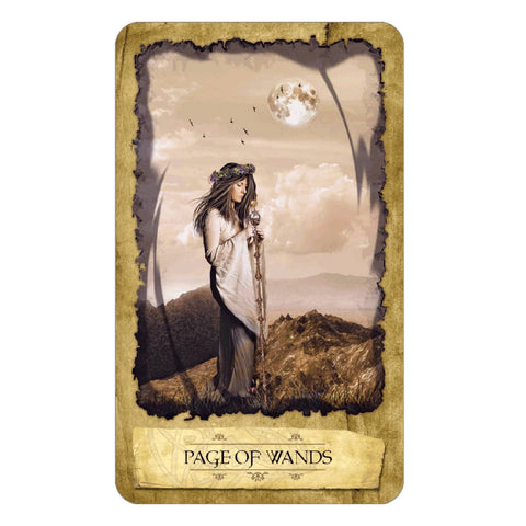 Mystic Dreamer Tarot Cards Deck Esoteric Telling Barbara Moore Llewellyn