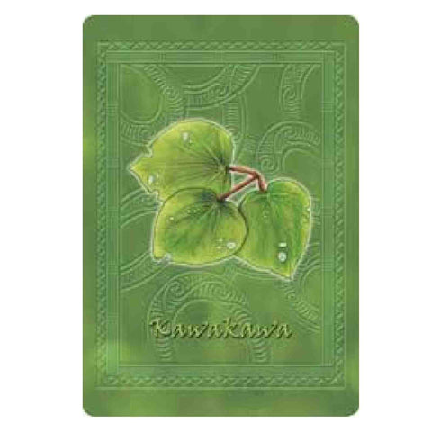 Maori Oracle Card Deck Book Set Schiffer Publishing Pa Minnell Esoteric