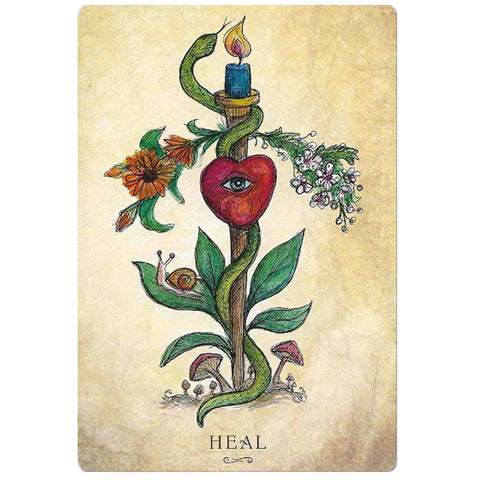Anatomy Of A Witch Oracle Cards Deck Llewellyn By Laura Tempest Zakroff