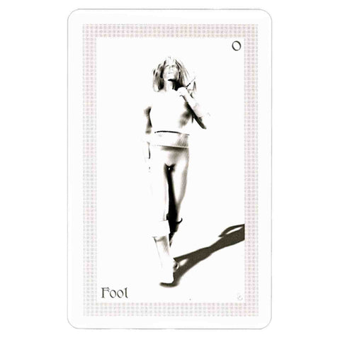 Shadowfox Tarot Cards Deck And Books Schiffer Publishing Richard & Jennifer