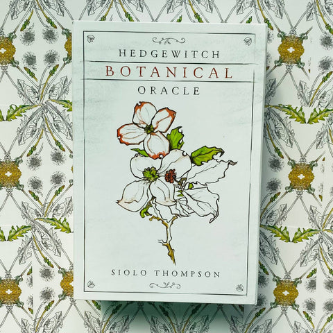 Hedgewitch Botanical Oracle Cards Deck Siolo Thompson Llewellyn