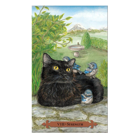 Mystical Cats Tarot Deck Lunaea Weatherstone Mickie Mueller Llewellyn