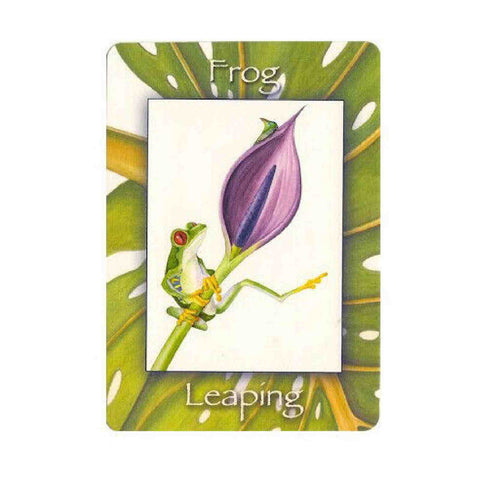 Nature'S Wisdom Oracle Deck Mindy Lighthipe Schiffer Publishing