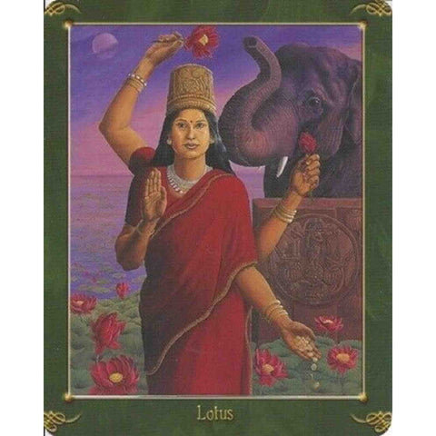 Green World Oracle Deck Cards Esoteric Kathleen Jenks Schiffer Publishing