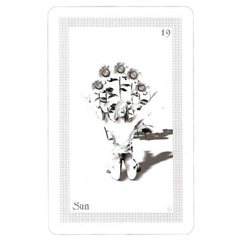 Shadowfox Tarot Cards Deck And Books Schiffer Publishing Richard & Jennifer