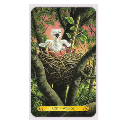 Tarot Of The Owls Cards Deck Art By Elisabeth Alba Pamela Chena Llewellyn