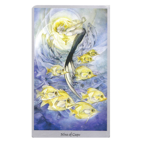 Shadowscapes Tarot Cards Deck And Book Set Stephanie Pui Mun Law Llewellyn