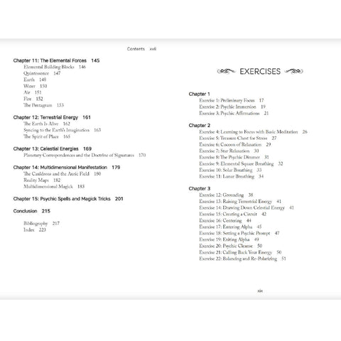 Psychic Witch Metaphysical Meditation Magick Manifestation Book Llewellyn