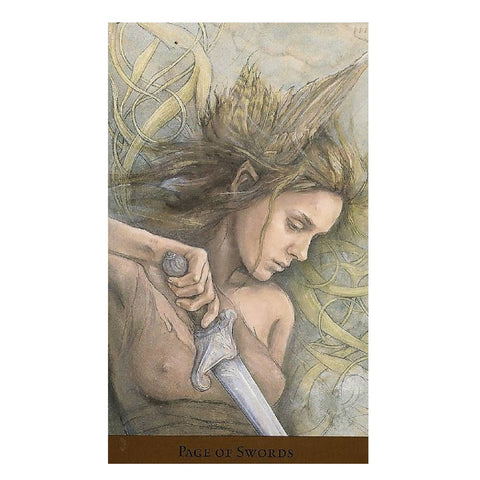 Tarot Of The Hidden Realm Tarot Cards Deck Julia Jeffrey Llewellyn With Bag