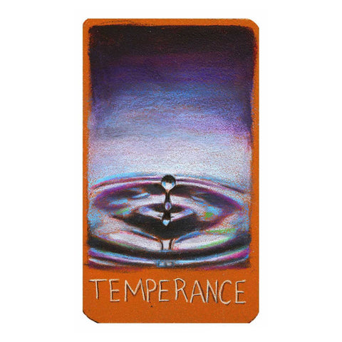 The Raven's Prophecy Tarot Cards Deck Llewellyn By Maggie Stiefvater Magic