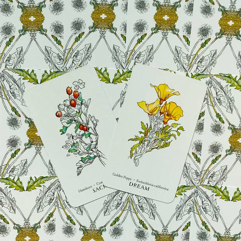 Hedgewitch Botanical Oracle Cards Deck Siolo Thompson Llewellyn