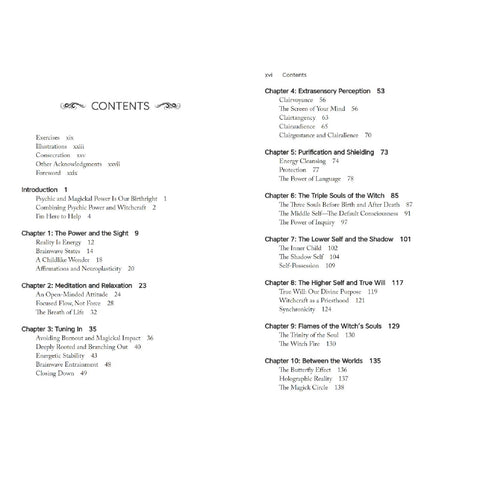 Psychic Witch Metaphysical Meditation Magick Manifestation Book Llewellyn
