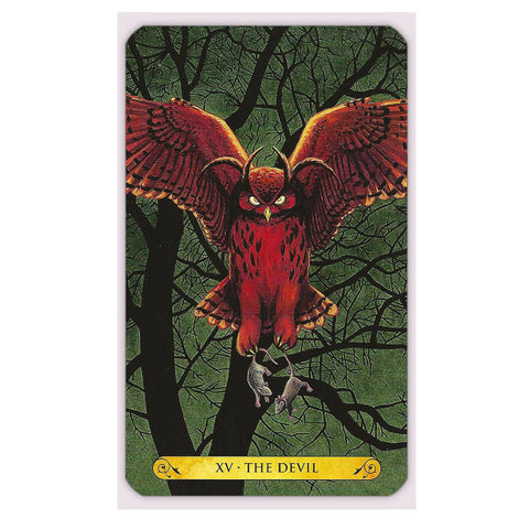 Tarot Of The Owls Cards Deck Art By Elisabeth Alba Pamela Chena Llewellyn
