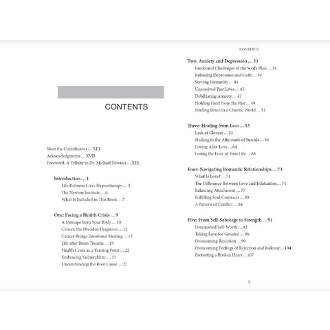 Wisdom Of Souls Book In Memory Of M. NEWton Phd Case Studies Llewellyn