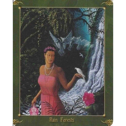 Green World Oracle Deck Cards Esoteric Kathleen Jenks Schiffer Publishing