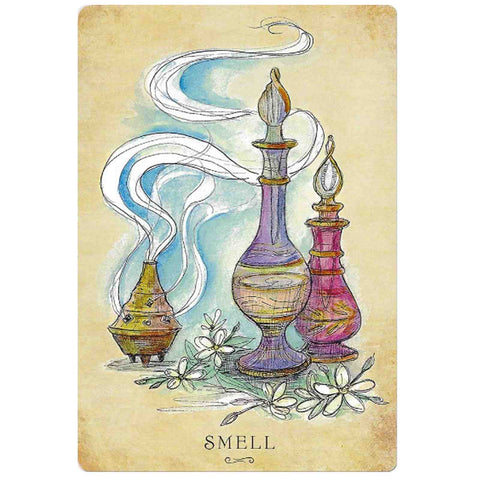Anatomy Of A Witch Oracle Cards Deck Llewellyn By Laura Tempest Zakroff