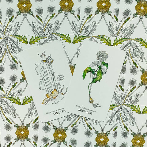 Hedgewitch Botanical Oracle Cards Deck Siolo Thompson Llewellyn