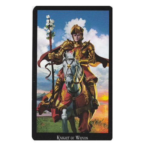 Witches Tarot Cards Deck Esoteric Telling Ellen Dugan Llewellyn