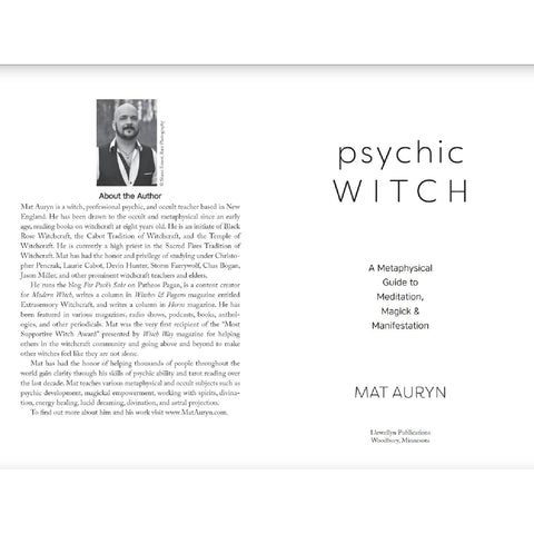Psychic Witch Metaphysical Meditation Magick Manifestation Book Llewellyn