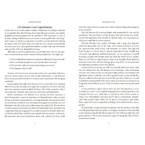 Wisdom Of Souls Book In Memory Of M. NEWton Phd Case Studies Llewellyn