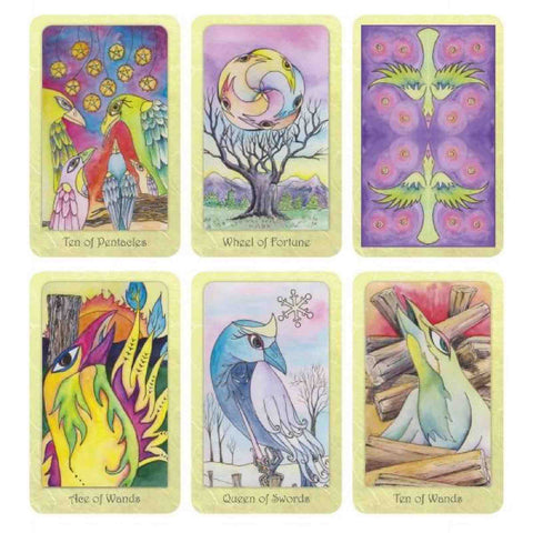 Dream Raven Tarot Cards Deck Book Set Beth Seilonen Schiffer Publishing With Bag
