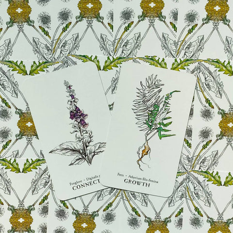 Hedgewitch Botanical Oracle Cards Deck Siolo Thompson Llewellyn