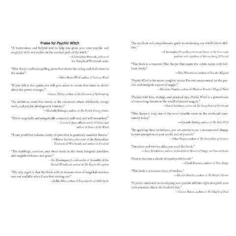 Psychic Witch Metaphysical Meditation Magick Manifestation Book Llewellyn