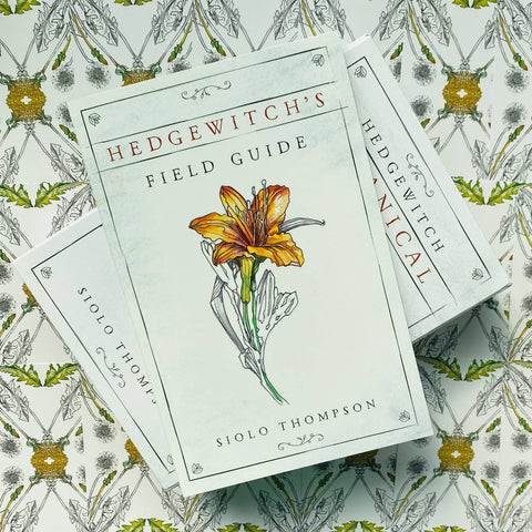 Hedgewitch Botanical Oracle Cards Deck Siolo Thompson Llewellyn