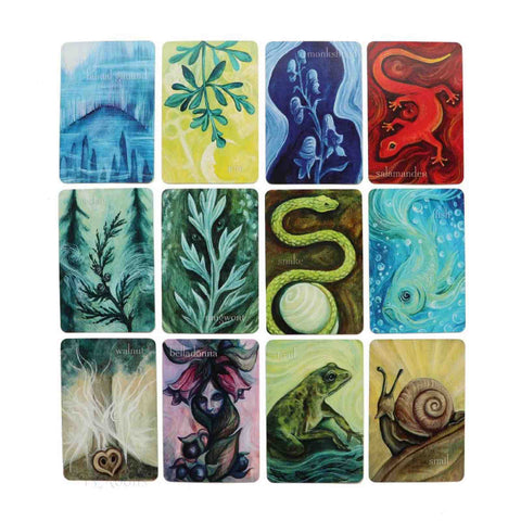 Liminal Spirits Oracle Cards Deck Book Kit Laura Tempest Zakroff Llewellyn