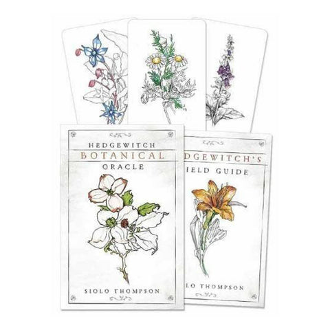 Hedgewitch Botanical Oracle Cards Deck Siolo Thompson Llewellyn