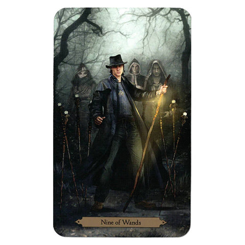 Wizards Tarot Cards Deck Mieke Janssens Barbara Moore Llewellyn